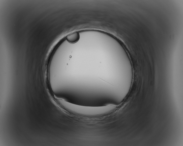 X0000083071511200703022145