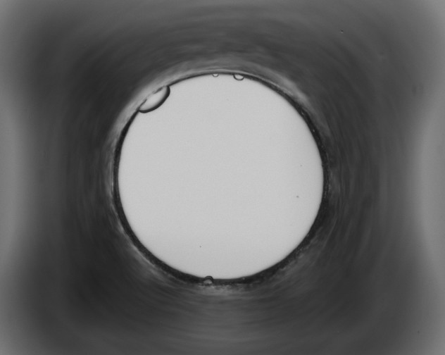 X0000083071512200703022145