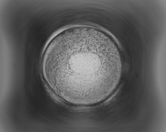 X0000083071514200703022145