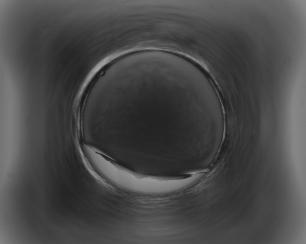 X0000083071515200703022145