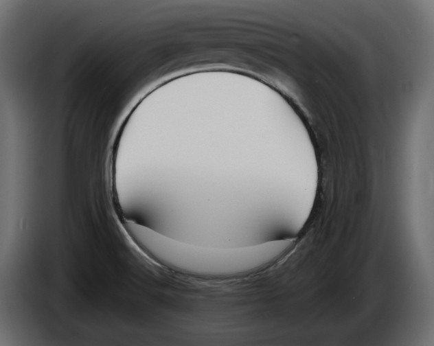 X0000083071516200703022145