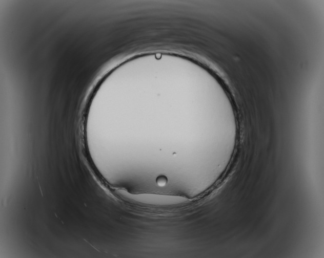 X0000083071517200703022145