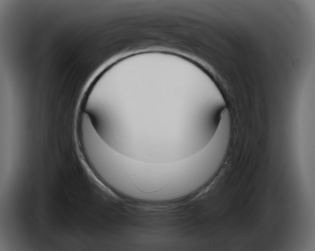 X0000083071518200703022145