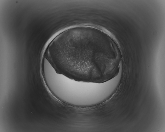 X0000083071520200703022145