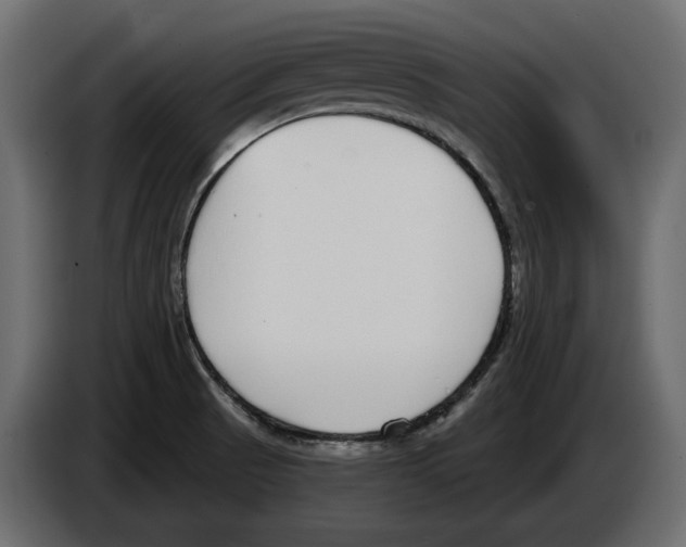 X0000083071521200703022145