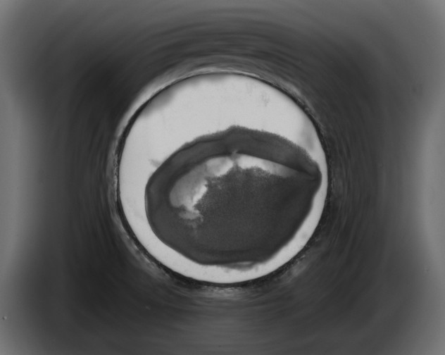 X0000083071522200703022145