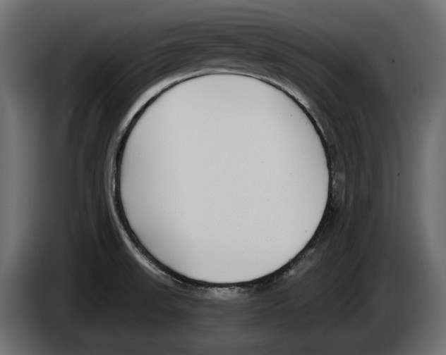 X0000083071523200703022145