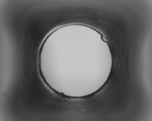 X0000083071526200703022145