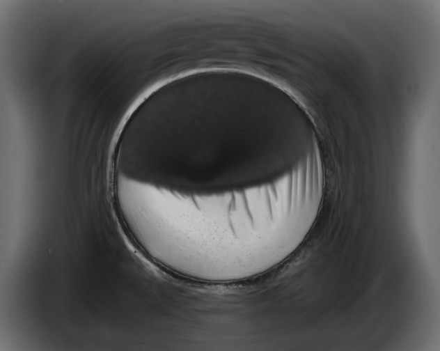 X0000083071527200703022145