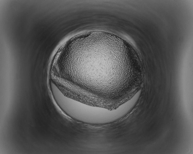 X0000083071528200703022145