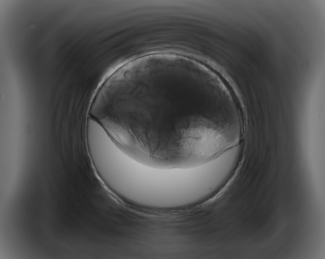 X0000083071529200703022145