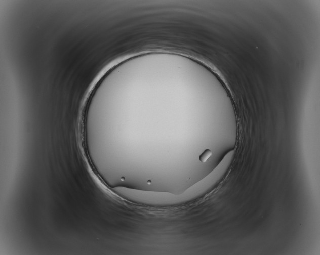 X0000083071531200703022145