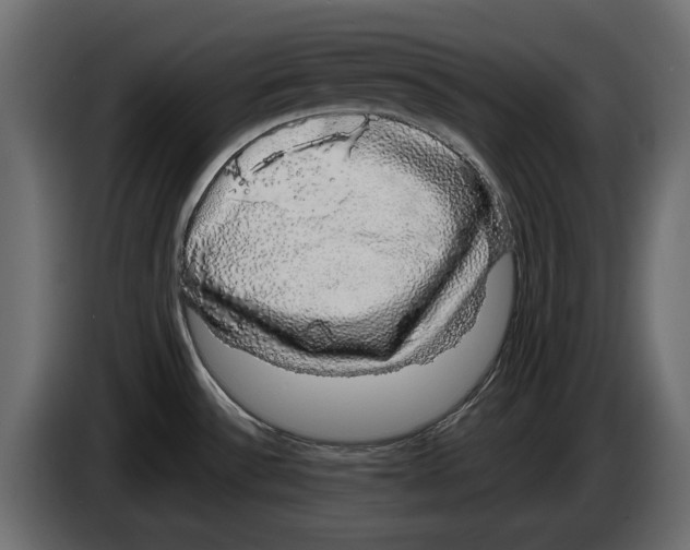 X0000083071532200703022145