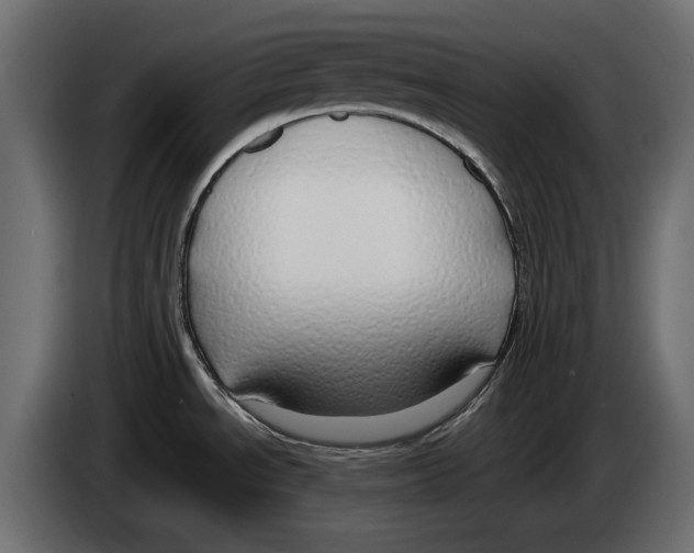 X0000083071534200703022145