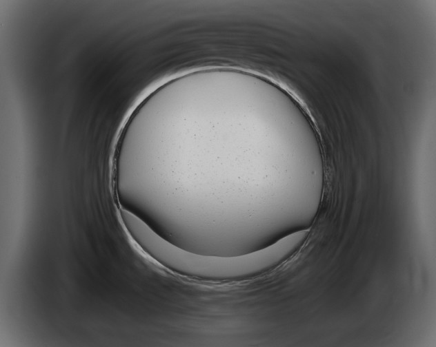 X0000083071535200703022145