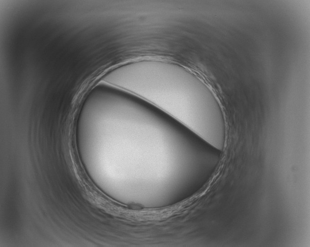 X0000083530001200702090732