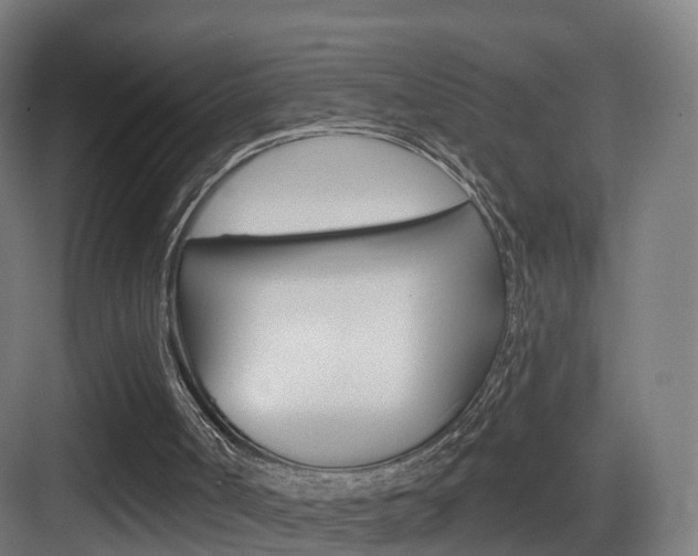 X0000083530002200702090732