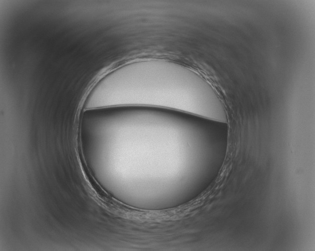 X0000083530003200702090732
