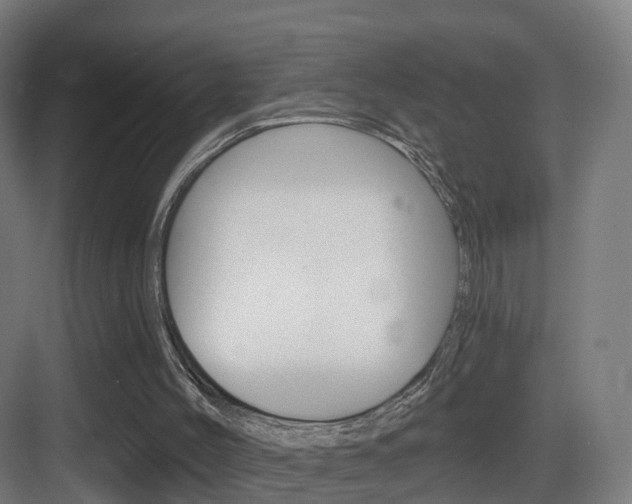 X0000083530004200702090732