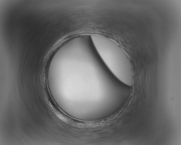 X0000083530005200702090732