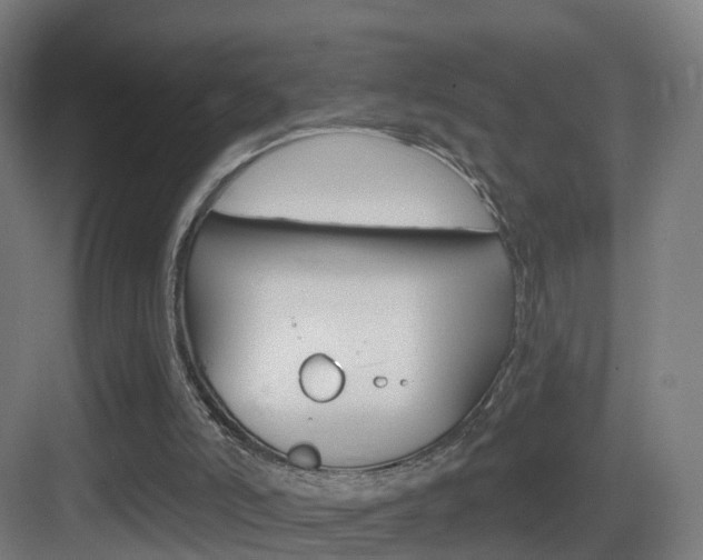 X0000083530006200702090732