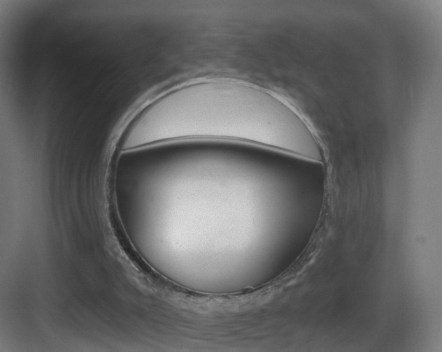 X0000083530007200702090732