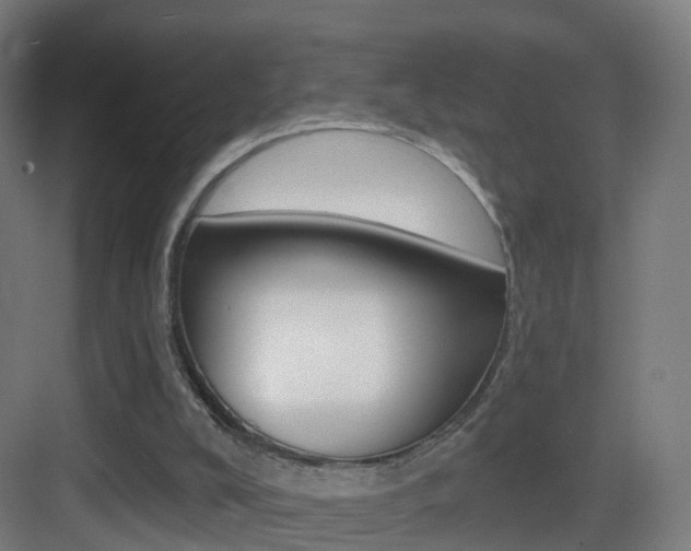 X0000083530008200702090732