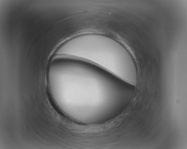 X0000083530011200702090732