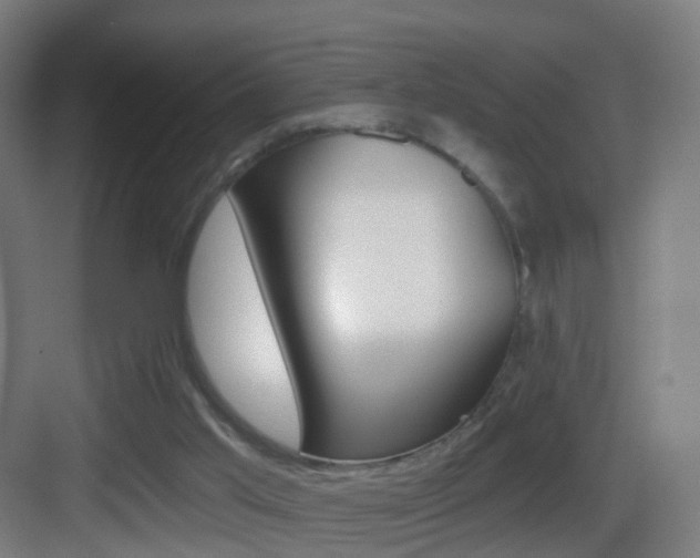 X0000083530013200702090732
