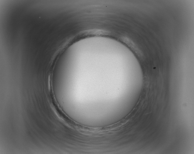 X0000083530014200702090732