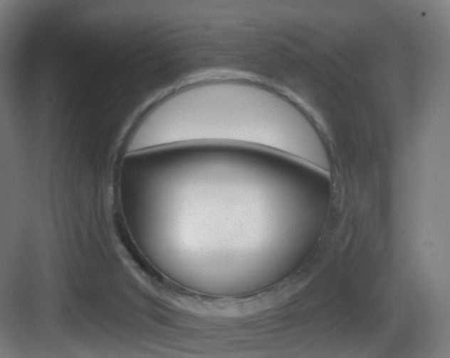 X0000083530015200702090732