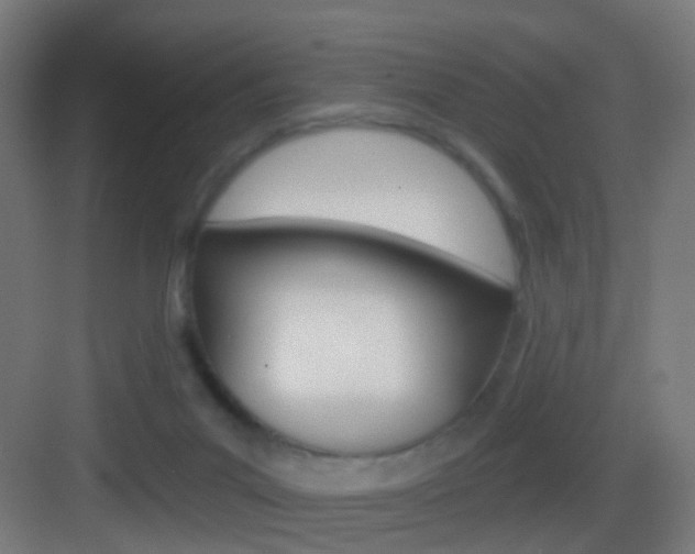 X0000083530023200702090732