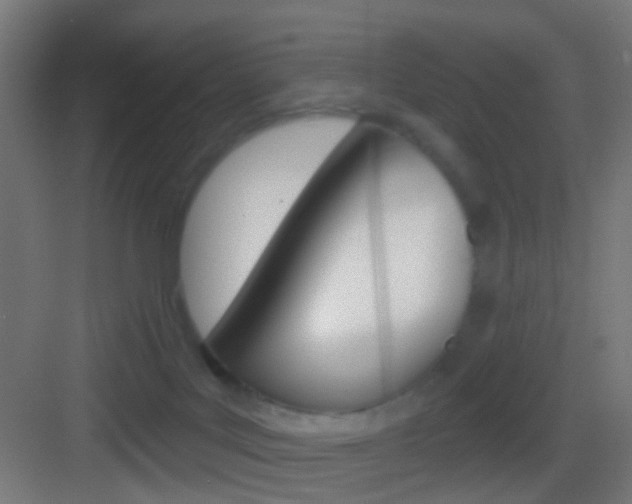 X0000083530027200702090731