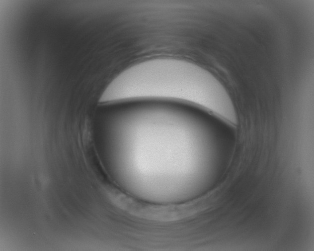 X0000083530029200702090731