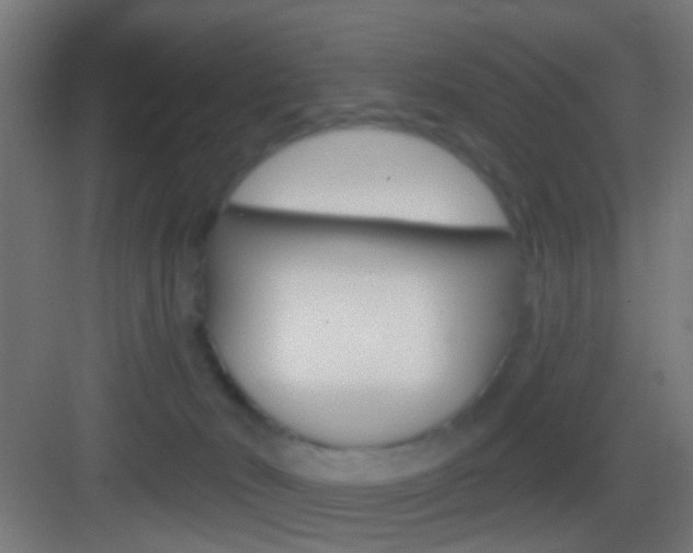 X0000083530030200702090731