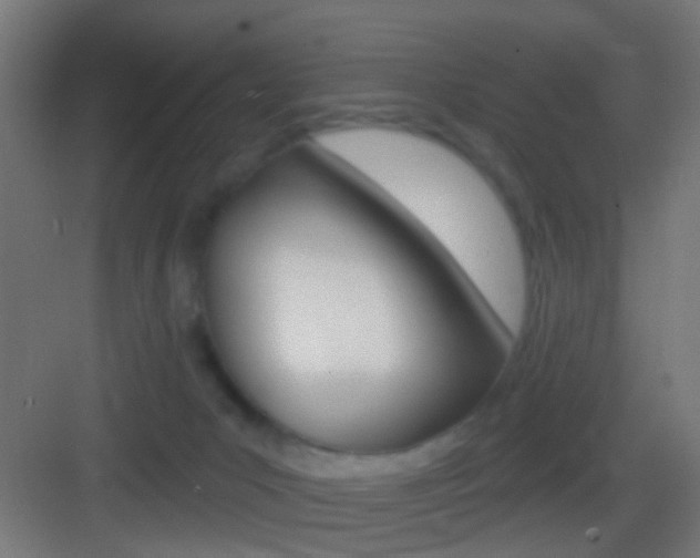 X0000083530031200702090731
