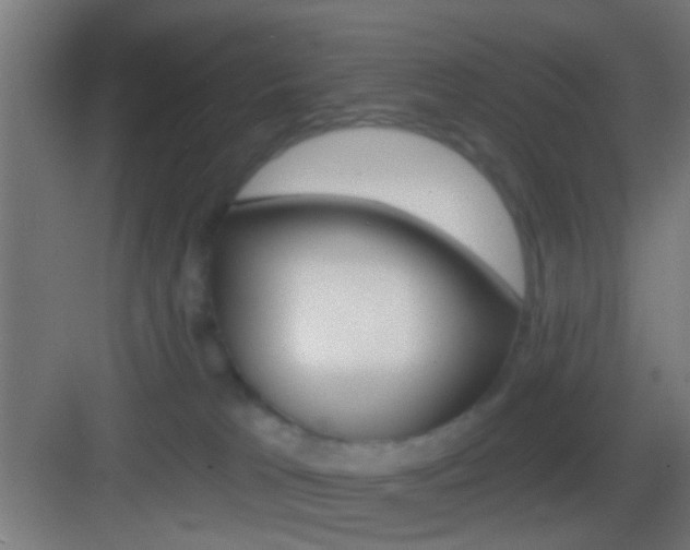 X0000083530037200702090731