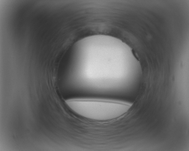 X0000083530040200702090731