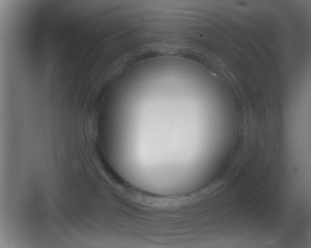 X0000083530044200702090731