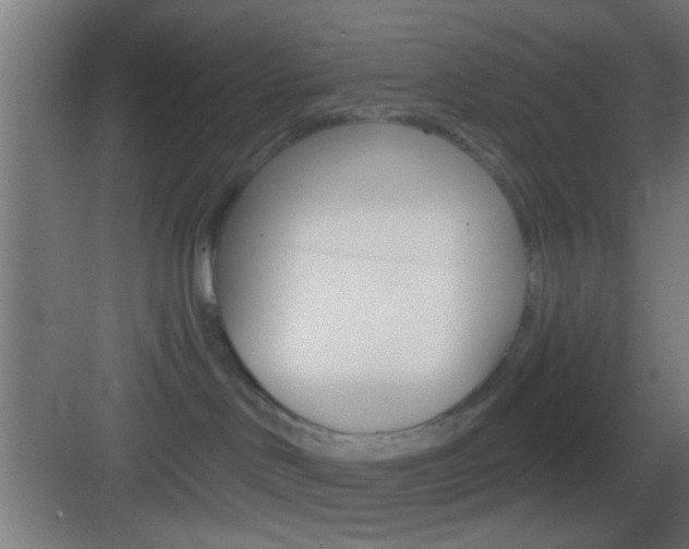 X0000083530046200702090731