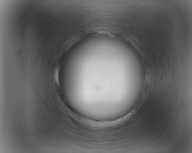 X0000083530047200702090731