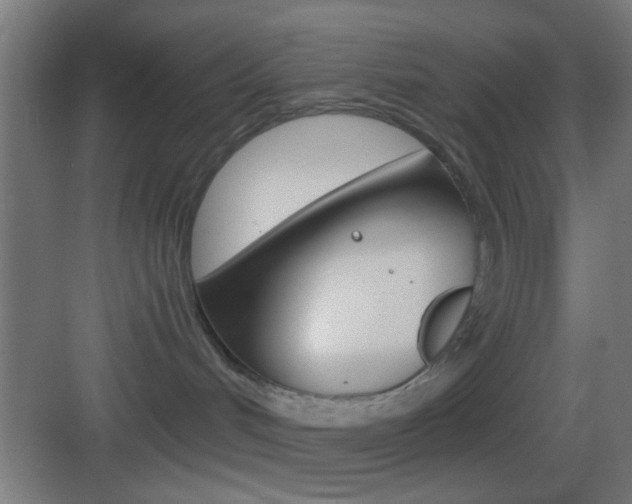 X0000083530048200702090731