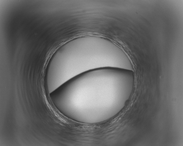 X0000083530049200702090730