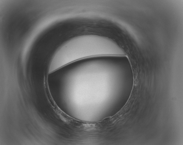 X0000083530052200702090730