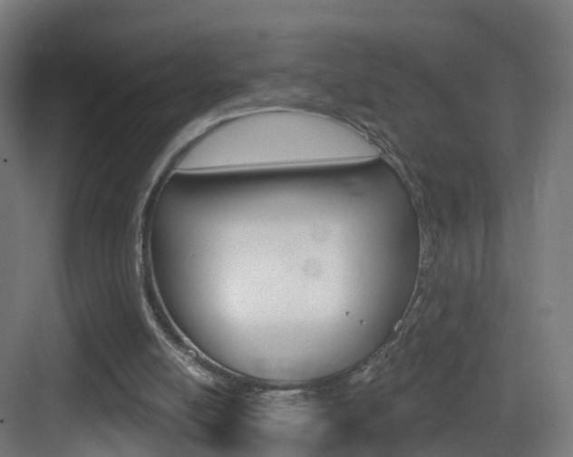 X0000083530054200702090730