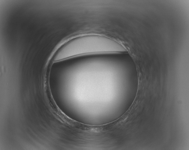 X0000083530056200702090730