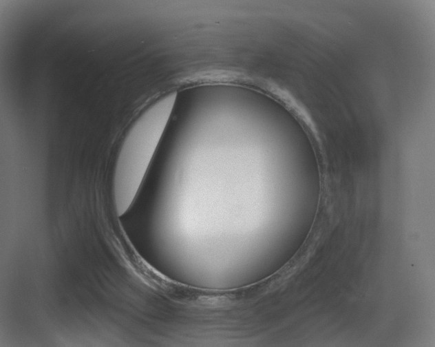 X0000083530057200702090730