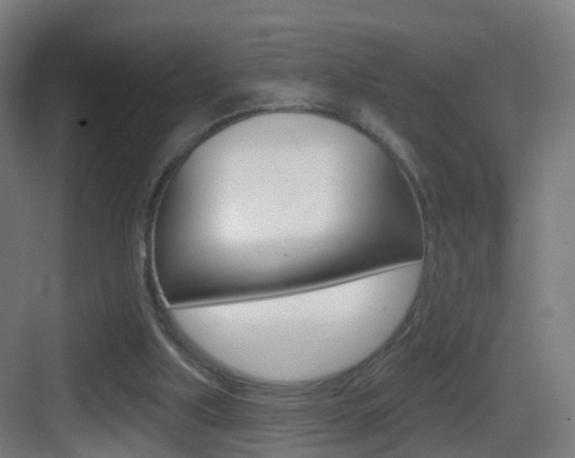 X0000083530059200702090730