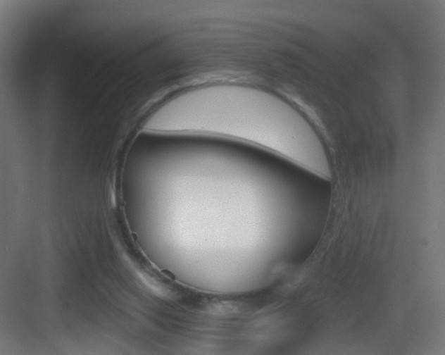 X0000083530062200702090731