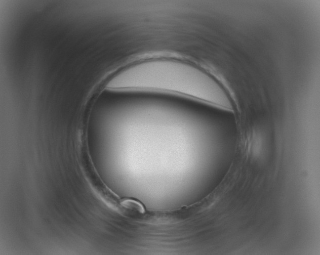 X0000083530063200702090731